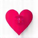 Wishlist heart icon