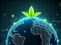 Global network lines connecting distributed servers, with a leaf icon in the center, representing green CDN optimization.