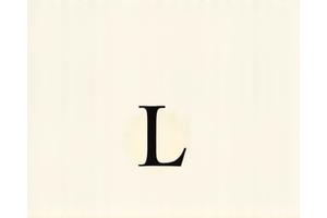 Minimalist typography example, showcasing readability and digital lightness.